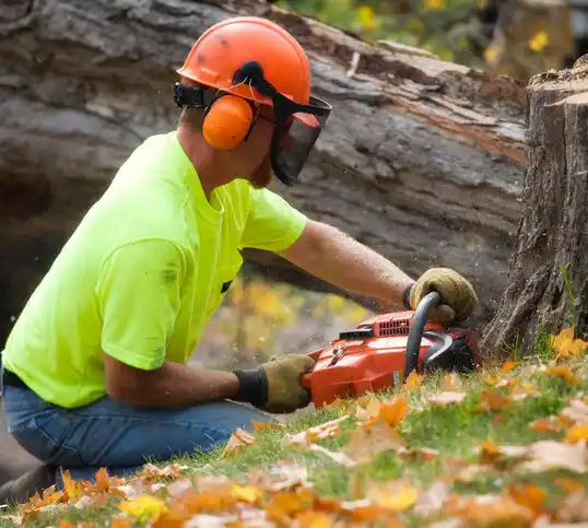 tree services Gettysburg